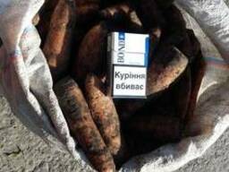 Продам морковь сорт Каскад