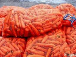Продам морковь в больших объёмах от 5 тон
