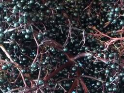 Продам морожену бузину