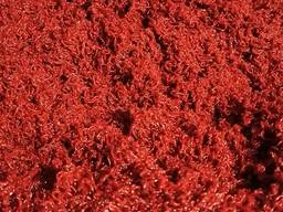 В наличии кормовой мотыль!