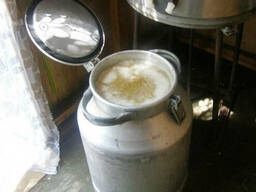 Продам мёд в Одессе