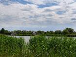 Продам найкращу ділянку в Новоселівці на березі Самари. Фарватер - фото 2