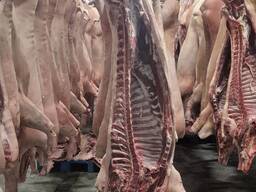 Продам напівтушу свинну