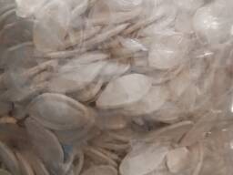 Продам насіння гарбуза Данка Полька оптом, Вінницька обл. , урожай 2025