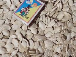 Продам насіння гарбуза «Український багатоплідний» — 5-6 тонн (Полтавщина)