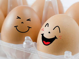 Продам новую холодильную камеру под ключ для хранения яиц