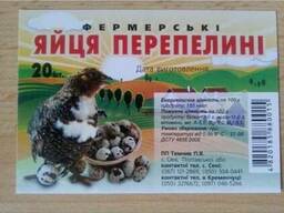 Продам оптом перепелині яйця