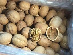 Продам грецкий орех . Кругляк на бой светлый урожай 2021 года по 16грн за 1кг