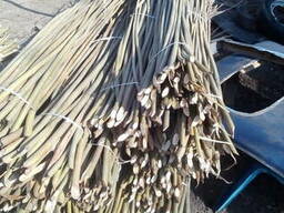 Закупаем лозу(орешник, лещину)для плетения заборов, Украинских тынов.