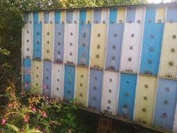 Продам павильон для пчел
