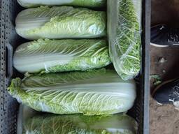 Продам пекінку