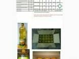 Продам подсолнечное масло. От компании экспортера - фото 1