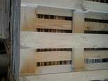 Продам Продам поддоны и крышки новые, по индивидуальному зак - фото 3