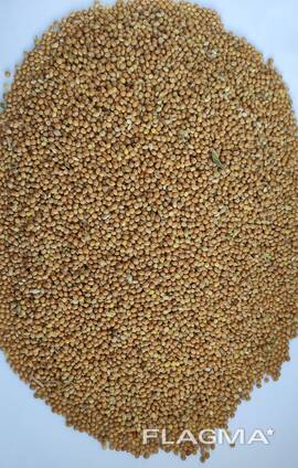 Продам просо жовте органічне, Organic Standard Ltd. (Panicum miliaceum)-400т. , б\н або $.