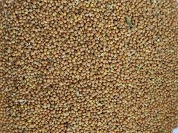 Продам просо жовте органічне, Organic Standard Ltd. (Panicum miliaceum)-400т. , б\н або $.