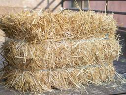 Продам просяную солому в тюках Харьков