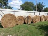 Продам пшеничну солому в тюках врожаю 2025 року. - фото 1