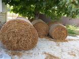 Продам пшеничну солому в тюках врожаю 2025 року. - фото 3