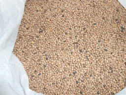 Продам пшеницу