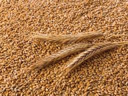 Экспорт Пшеница ( 2.3.4.5. класс ) FOB Одесса