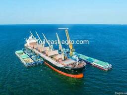 Продам пшеницу белок 11,5-12,5 на экспорт FOB