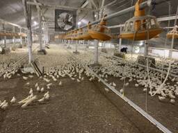 Продам птицефабрику на юге Одесской области.