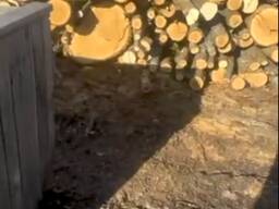 Продажа п/в дровяную твердых пород от 2 метров