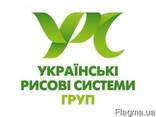 Продам рис для суши - фото 1