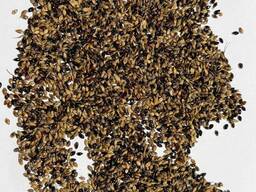 Продам розторопшу плямисту 23т. ,віку затяту 25т. ,суданка ряба