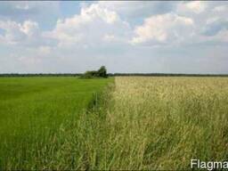 Продам сельхозпредприятие, агропредприятие, субаренда - 450