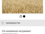 Продам семена из Германии новые элитные сорта Яровой Ячмень двуручка - фото 2