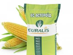 Продам семена кукурузы Астероид ЕС Евралис