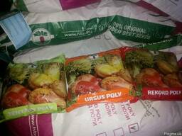 Продам семена кормовых культур