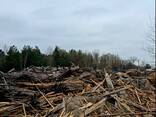Продам щепу / обьзел/гарбиль/дрова сосна - фото 2