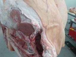 Шинка на кості