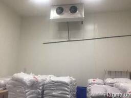 Продам сливу замороженную