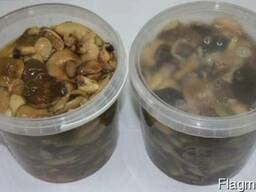 Продам соления грибы маслята 1 сорт