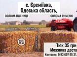 Продам солому в тюках - фото 1