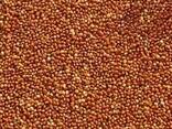 Продам сорго червоне, 180 тонн - фото 1
