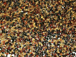 Продам суданку 2016 года "Миронівська 10", "Дніпровська 54"