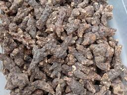 Продам сухий корінь калгану/сухой корень калган