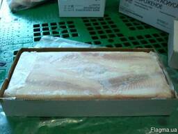 Продам свіжоморожену морську рибу