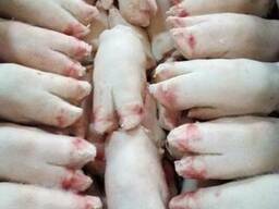 Продам : Ноги Свиные (замороженные, шпарка) .