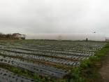 Продам тепличный комплекс - фото 1