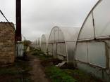 Продам тепличный комплекс - фото 8