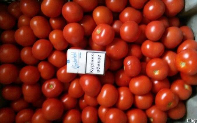 Продам томат на переработку
