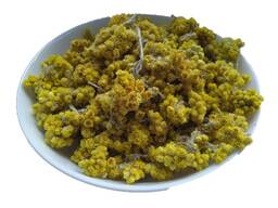 Продам цмин безсмертник Котячі лапки Золотуха Солом'янка Helichrysum arenarium