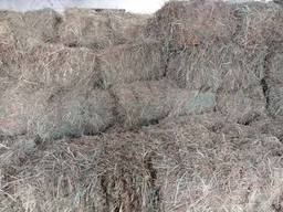 Продам тюковане сіно
