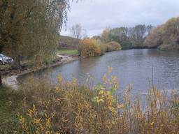 Продам участок 2.5 Га с озером, островом, под родовое поместье, бизнес