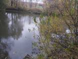 Продам участок 2.5 Га с озером, островом, под родовое поместье, бизнес - фото 8